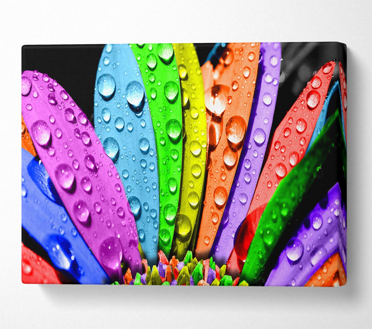 Colourful Flower Canvas Wall Art - Zestio