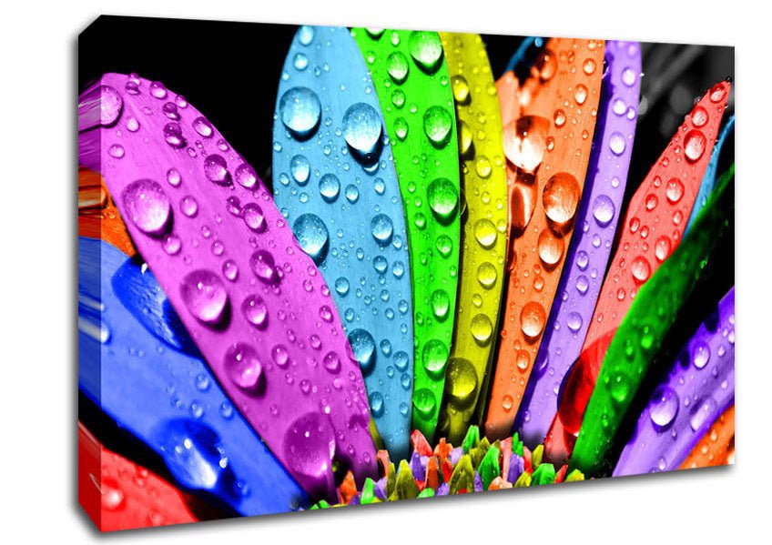 Colourful Flower Canvas Wall Art - Zestio