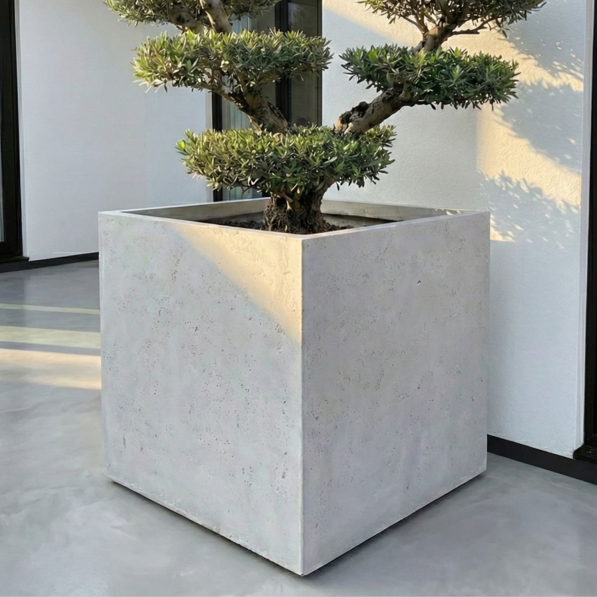 Cubrosa | White Mist – 100cm XXL Square Concrete Planter – 782L Large Outdoor Plant Pot - Zestio