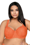 Carmela Big Lace Padded Bra For Large Sizes 65G-95F With Decorative Straps And Adjustable Closure