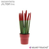 Sans Cyl Velvet Touchz Rood Keramiek