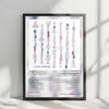 Wolf Parade "Apologies to the Queen Mary" Album Cover Poster - with Complete Tracklist