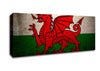 Dragon Of Wales Canvas Wall Art - Zestio