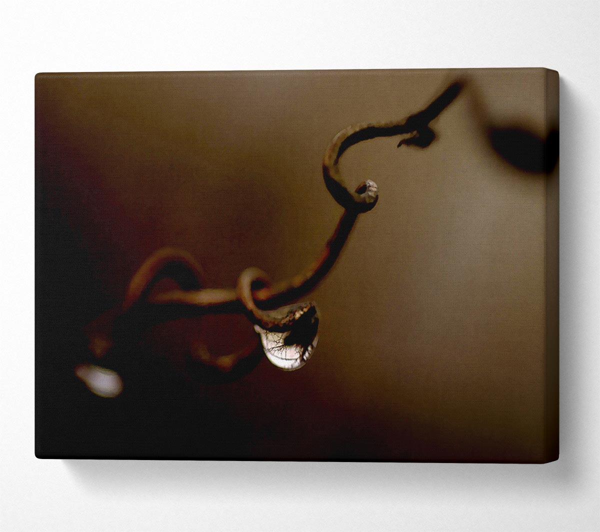 Drop Of Water Brown Canvas Wall Art - Zestio