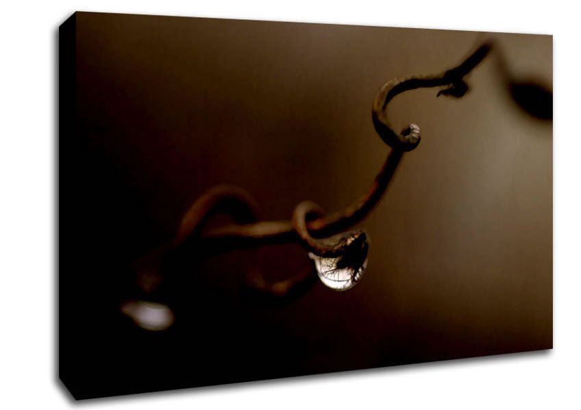 Drop Of Water Brown Canvas Wall Art - Zestio