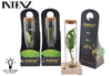 Opm Intenz Gemengd Glas Tube + Led & Giftpack