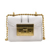 Women's Fashion All-match Ins Mini Chain Messenger Small Square Bag
