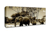 Elephant Family Canvas Wall Art - Zestio