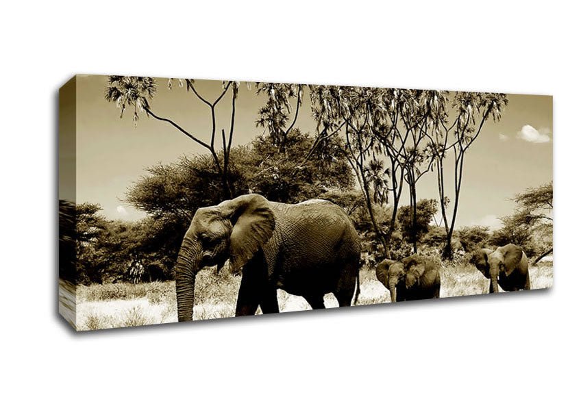 Elephant Family Canvas Wall Art - Zestio