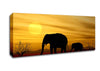 Elephant Safari Desert Canvas Wall Art - Zestio