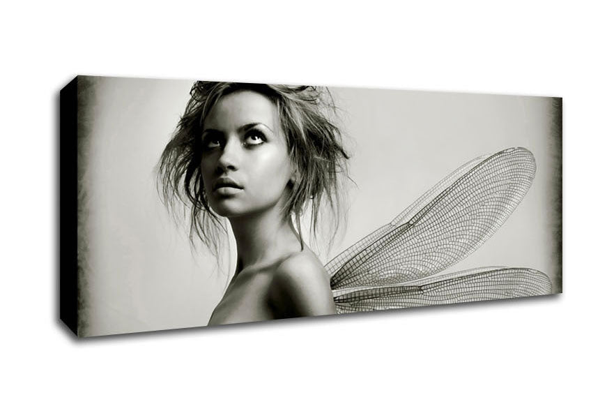 Exotic Fairy Wings Close - up Canvas Wall Art - Zestio
