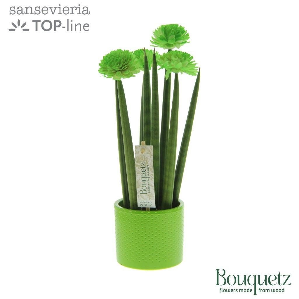 Sans Cyl Bouquetz Green Keramiek Dots