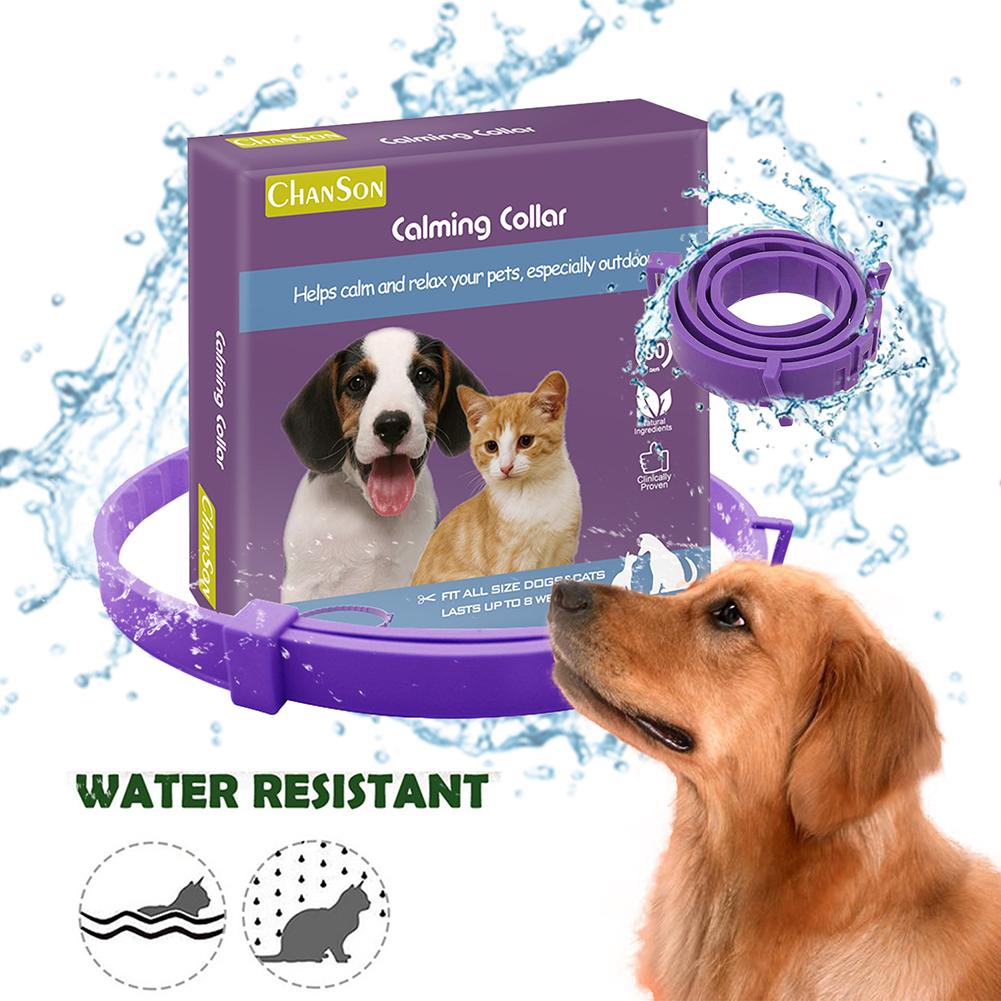 Dog Comfort Collar Cat Teddy Pet