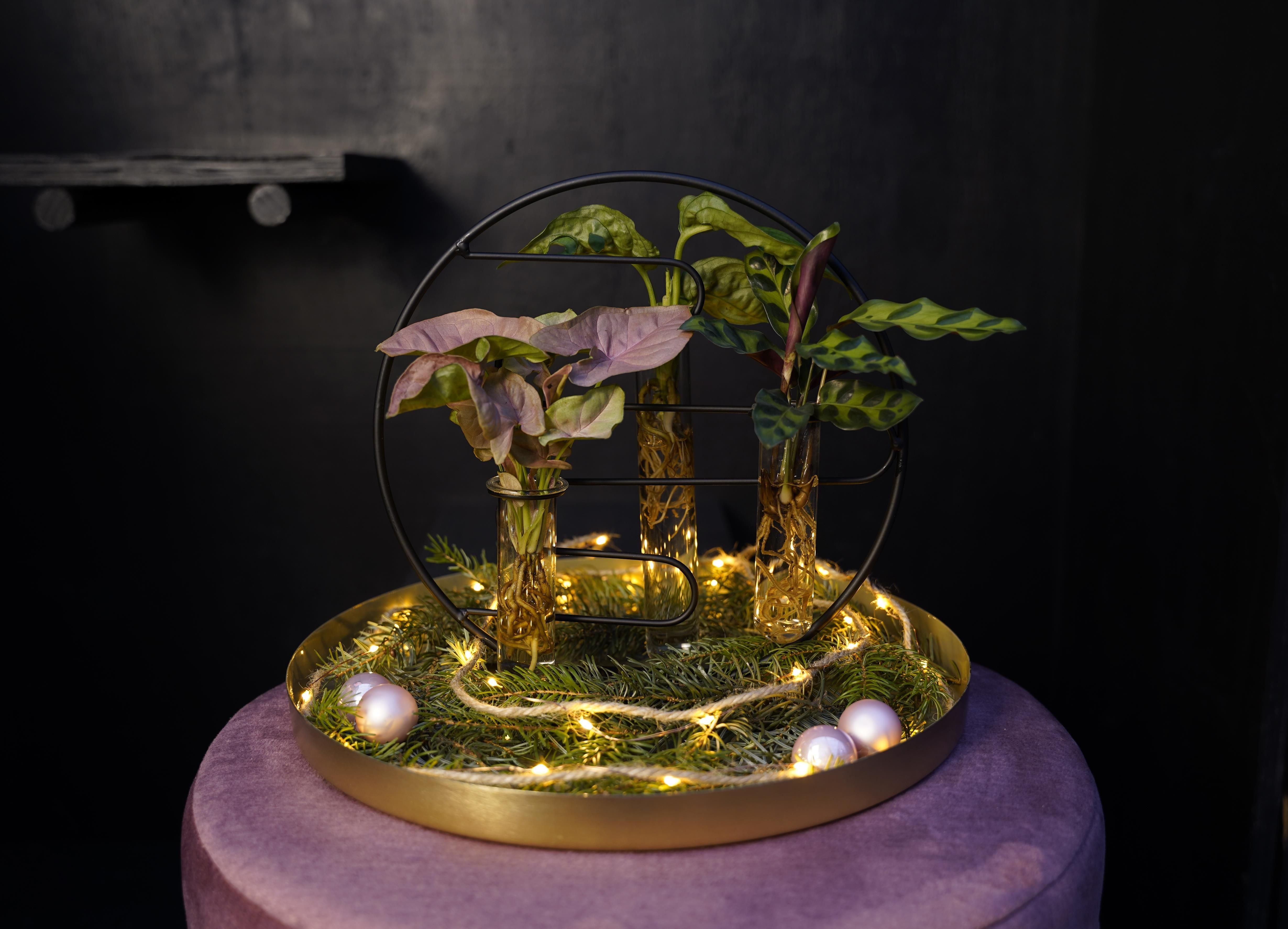 Opm Intenz X-mas Gemengd Glas Dubai 2.0