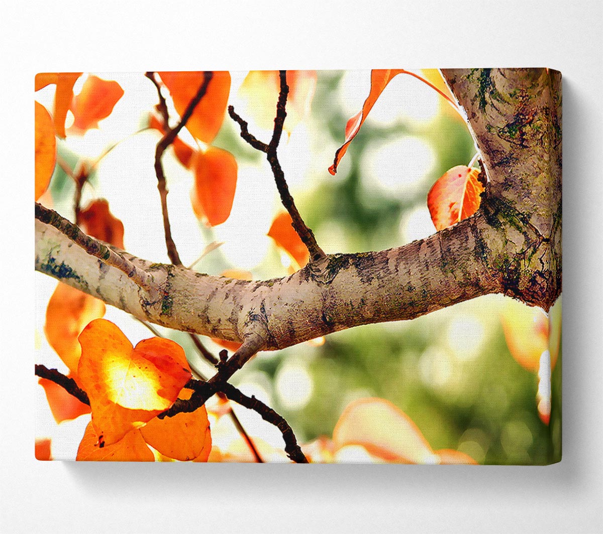 Fall Tree Canvas Wall Art - Zestio
