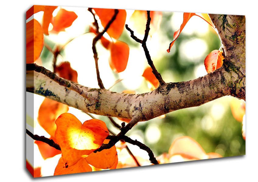 Fall Tree Canvas Wall Art - Zestio