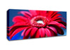 Fathers Day Flowers Canvas Wall Art - Zestio