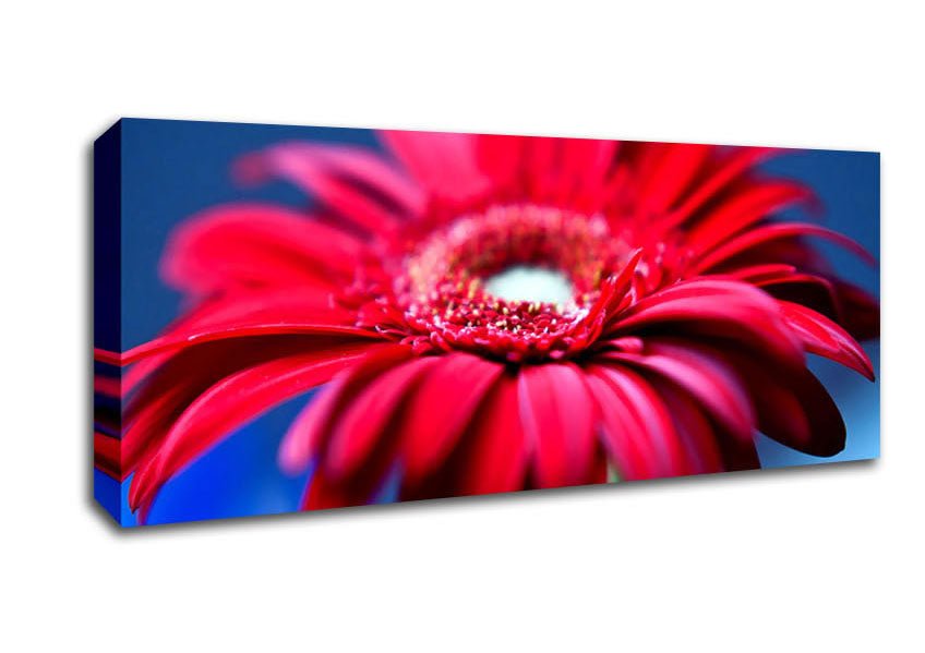 Fathers Day Flowers Canvas Wall Art - Zestio