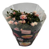 Rose Party Piia