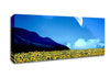Field Of Illusions Canvas Wall Art - Zestio