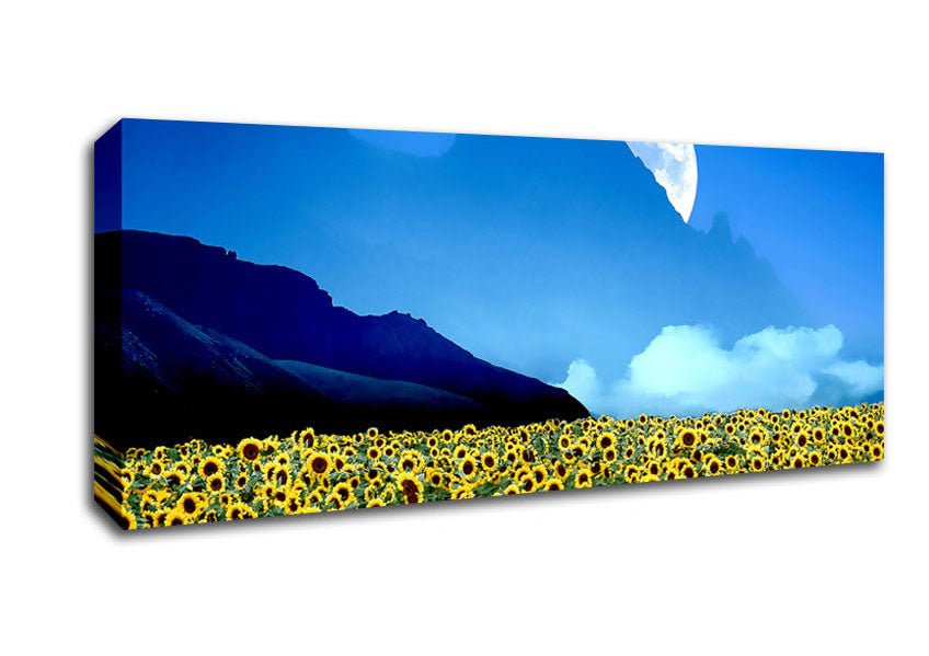 Field Of Illusions Canvas Wall Art - Zestio