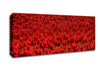 Field Of Scarlet Tulips Canvas Wall Art - Zestio