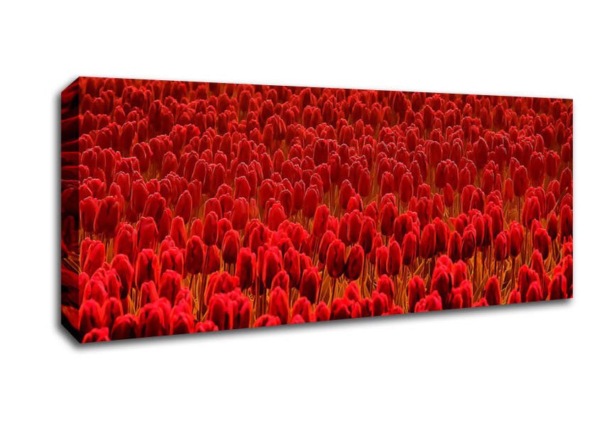 Field Of Scarlet Tulips Canvas Wall Art - Zestio