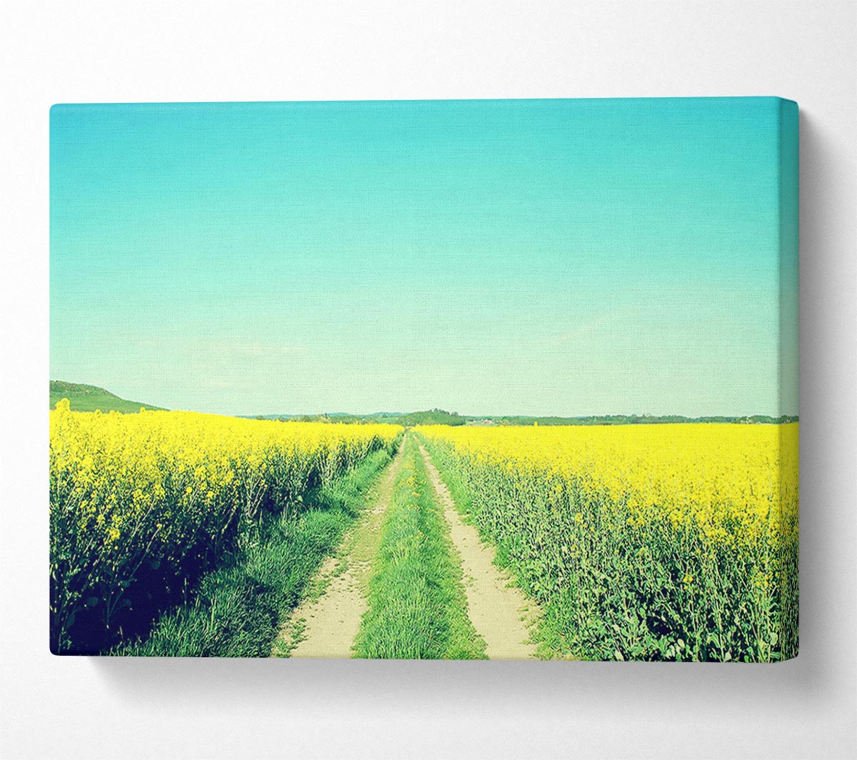 Field Road Canvas Wall Art - Zestio