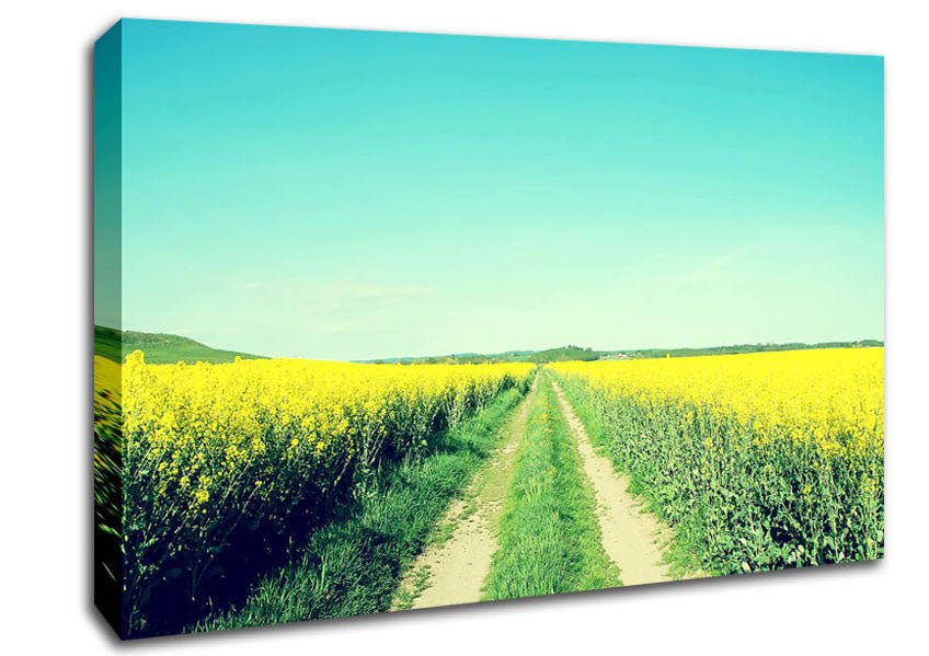 Field Road Canvas Wall Art - Zestio