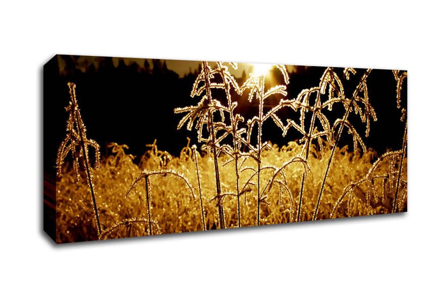 Fields Of Gold Canvas Wall Art - Zestio