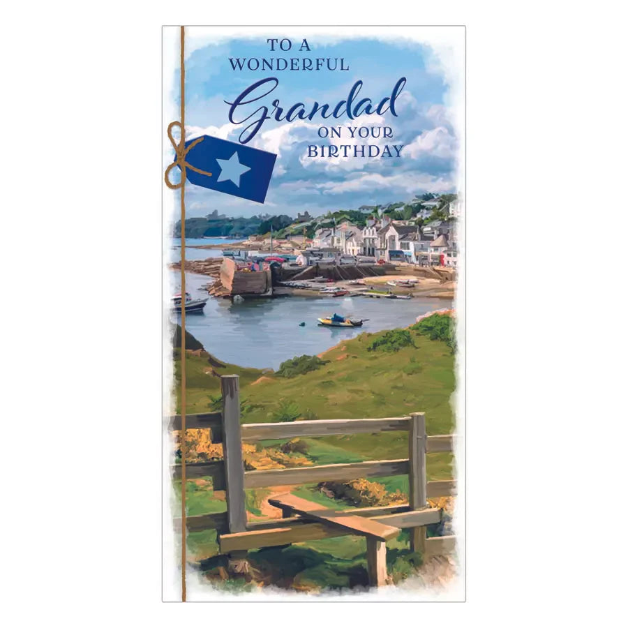 TO A WONDERFUL   GRANDAD ON  YOUR BIRTHDAY CARD