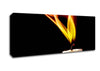 Flame Of A Candle Canvas Wall Art - Zestio