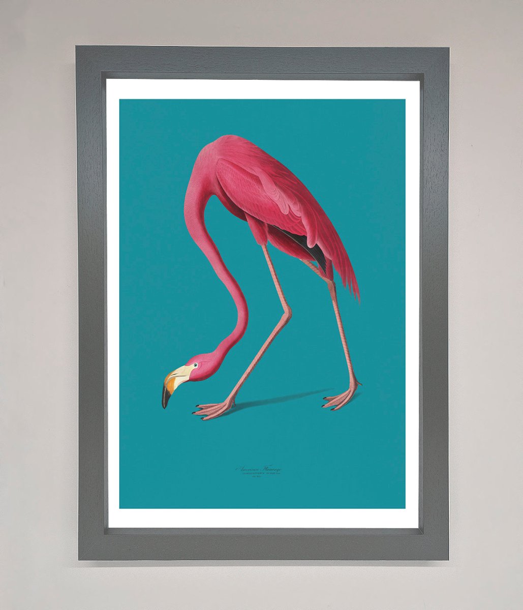 Flamingo Walks Blue Framed Print - Zestio