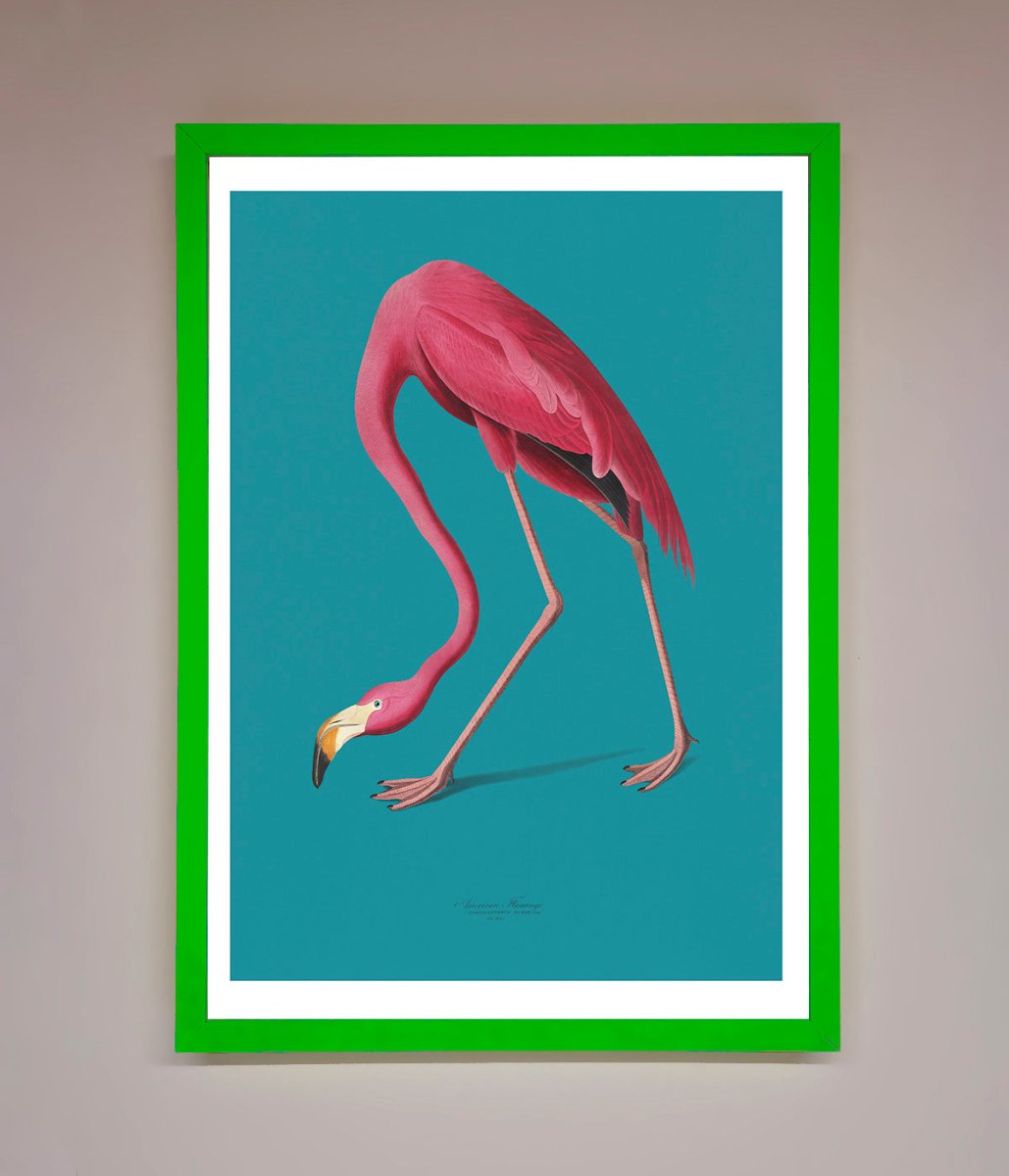 Flamingo Walks Blue Framed Print - Zestio