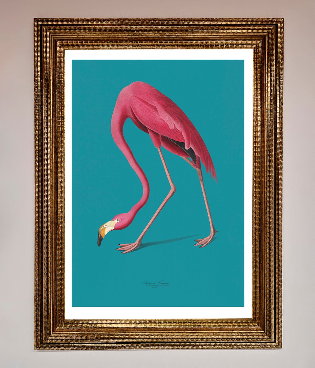 Flamingo Walks Blue Framed Print - Zestio