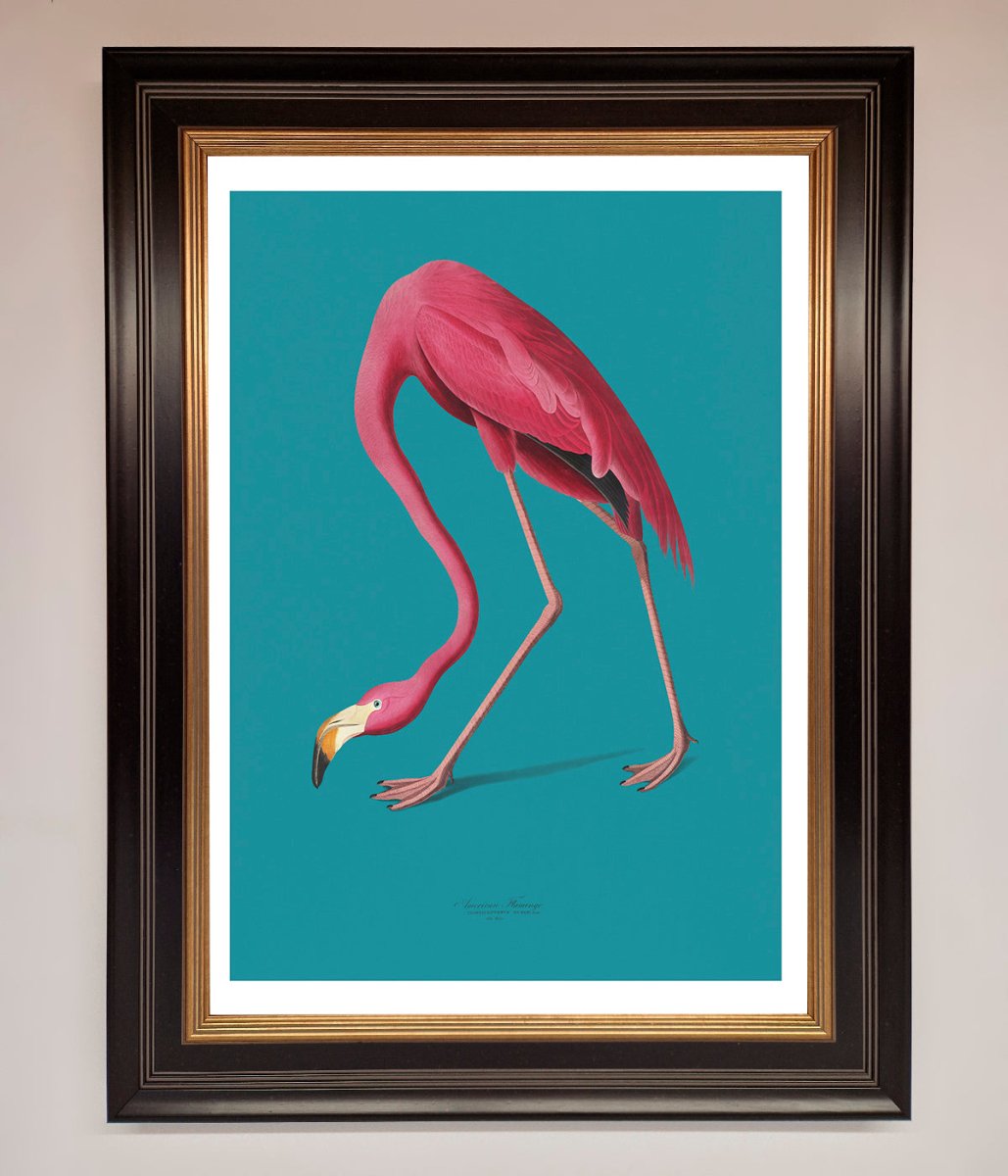 Flamingo Walks Blue Framed Print - Zestio