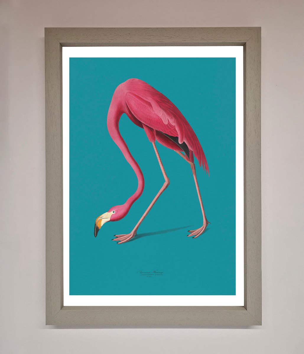 Flamingo Walks Blue Framed Print - Zestio