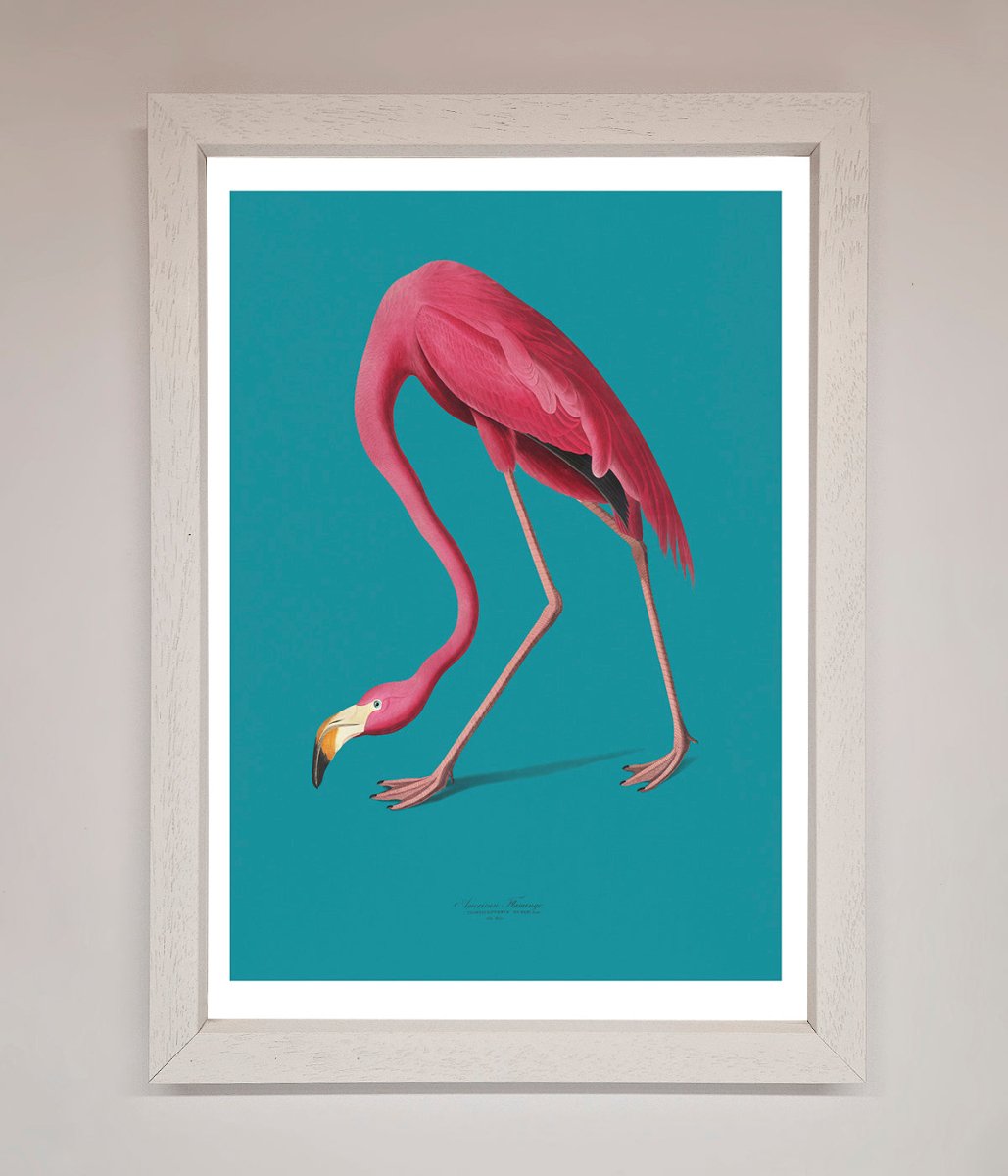 Flamingo Walks Blue Framed Print - Zestio