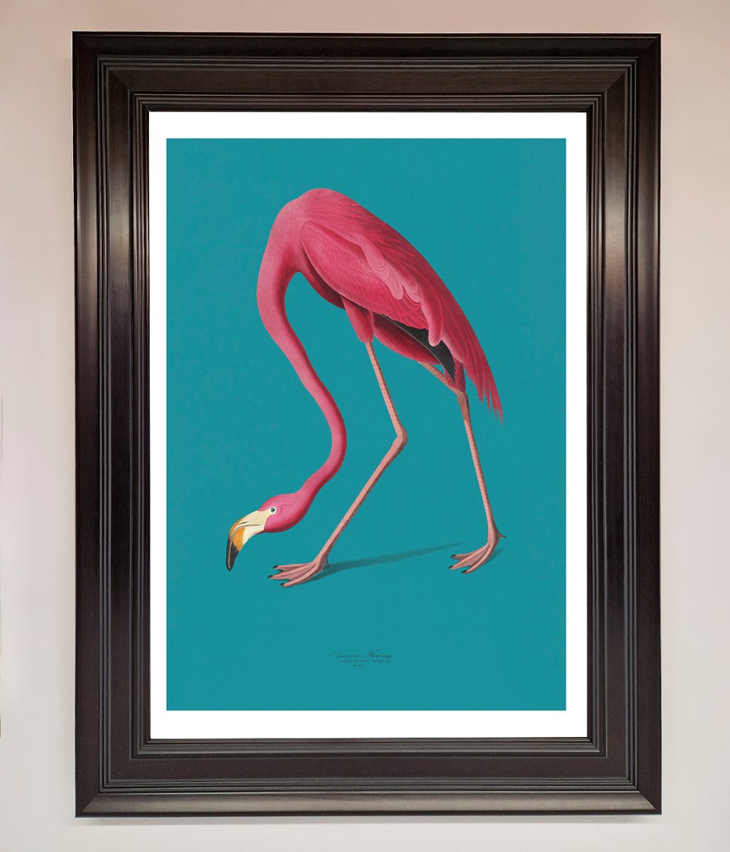 Flamingo Walks Blue Framed Print - Zestio