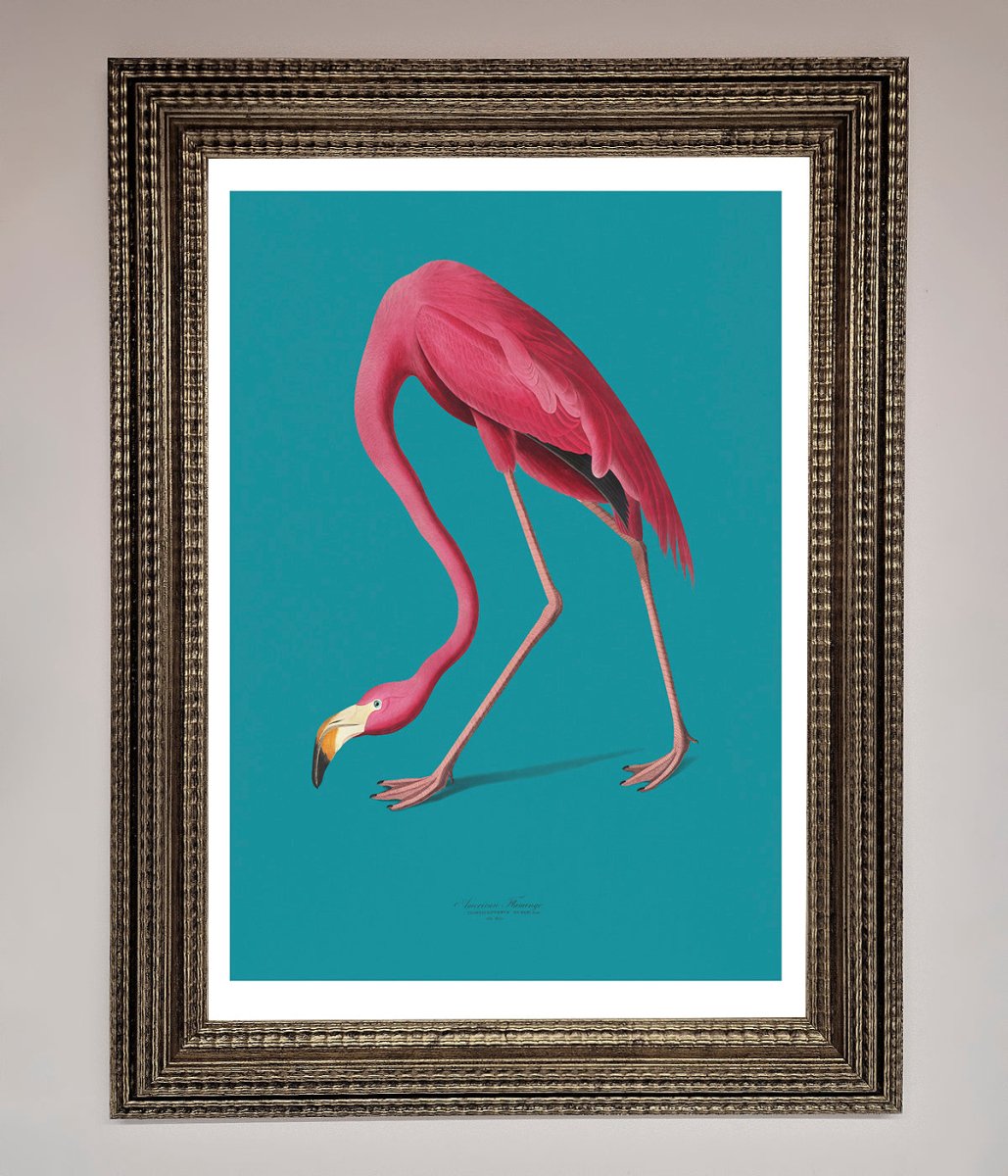 Flamingo Walks Blue Framed Print - Zestio