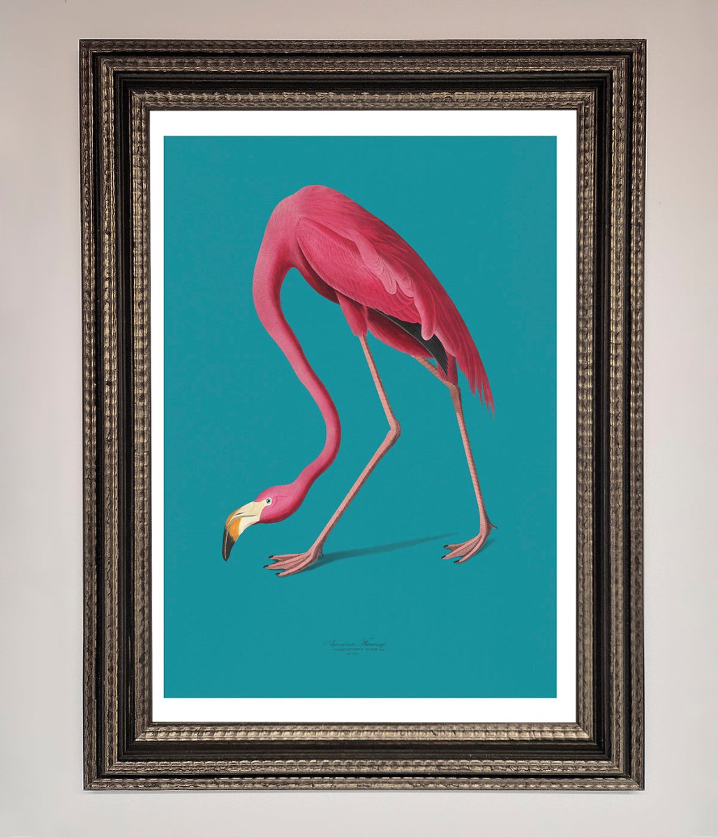 Flamingo Walks Blue Framed Print - Zestio
