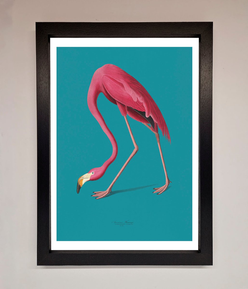 Flamingo Walks Blue Framed Print - Zestio