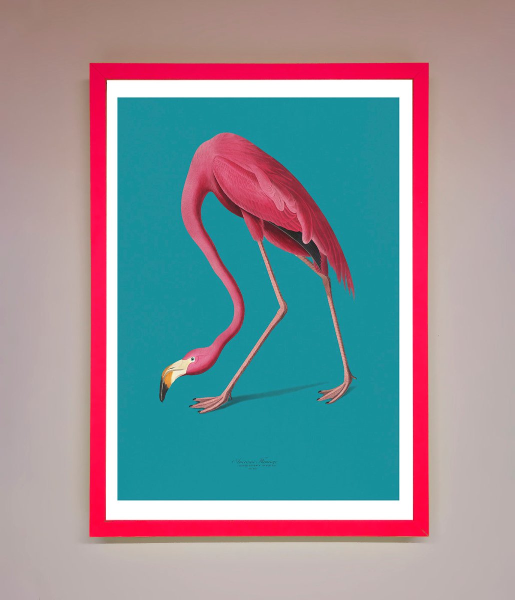 Flamingo Walks Blue Framed Print - Zestio