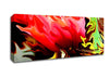 Floral Fury Canvas Wall Art - Zestio
