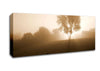 Foggy Morning Canvas Wall Art - Zestio