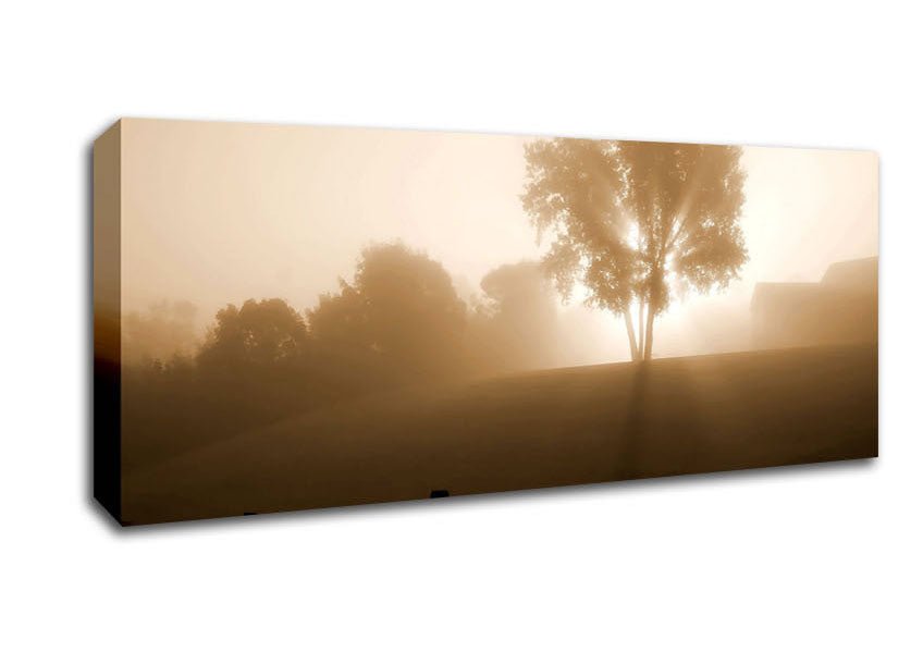 Foggy Morning Canvas Wall Art - Zestio