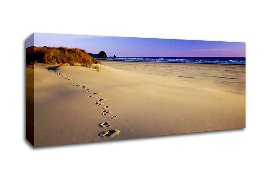 Footprints Of Time Canvas Wall Art - Zestio