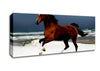 Galloping Horse Canvas Wall Art - Zestio