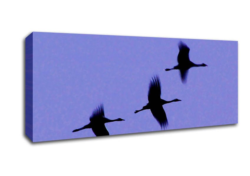 Geese Trio In Flight Purple Canvas Wall Art - Zestio