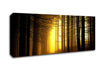 Golden Forest Light Canvas Wall Art - Zestio